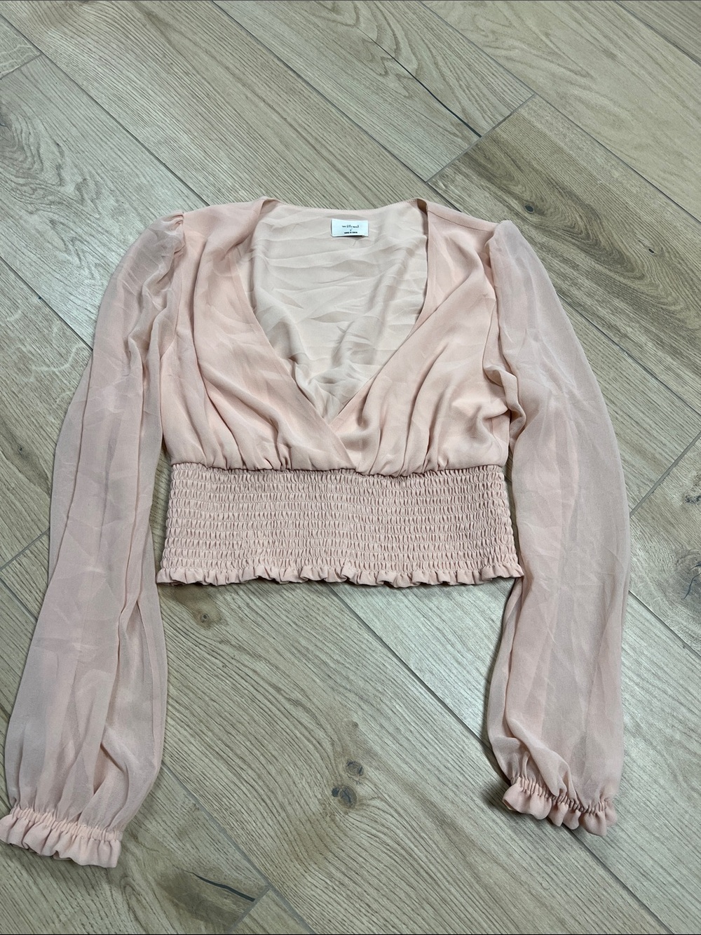 Aritzia Pale Blush Sheer Long-Sleeve Smocked Crop Top